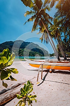 Banca boats under palm trees on sandy beach in Corong corong, El Nido, Palawan, Philippines photo