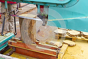 Band saw sawmill is cutting log on thin round piece