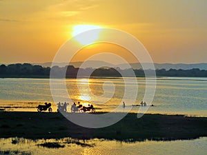 Band of youngsters preparing for bath in a Polonnaruwa lake under the setting sun.