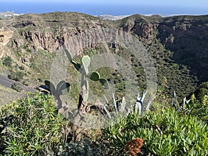Bandama Natural Monument on Gran Canaria island