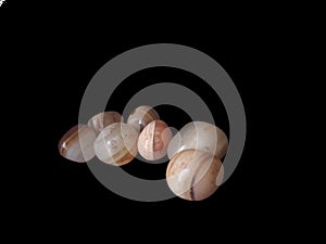 Banded Agate isolated image. Harmonize Yin and Yang energies.