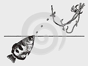 Banded archerfish toxotes jaculatrix shooting water at an insect on a hanging branch