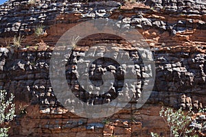 Banded Sandstones on the beehive domes in the Purnululu National Park