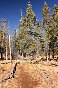 Bandelier National Monument