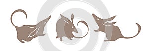 Bandicoot, australian animal. Bilby vector. Isolated silhouette set for logo.