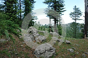 Bandla hills in bilaspur, Himachal