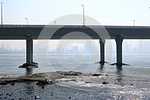 The Bandra-Worli Sea Link, officially called Rajiv Gandhi Sea Link, is a cable-stayed bridge that links Bandra with Worli in