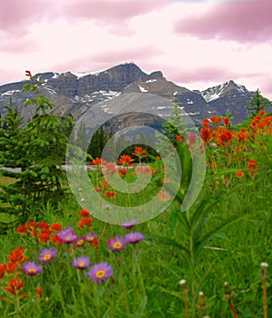 Banff Mountains 2