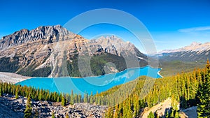 Banff National Park, Alberta, Canada. A huge panorama of Lake Peyto. Landscape during daylight hours. A lake in a river valley.