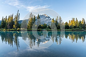 Banff National Park beautiful scenery. Cascade Mountain and pine trees reflected on turquoise color Bow River in summer time