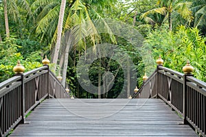 Bang Krachao. Wooden bridge in a tropical park in Bangkok, Thailand