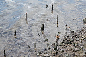 Bang Pra Reservoir, Chonburi, Thailand