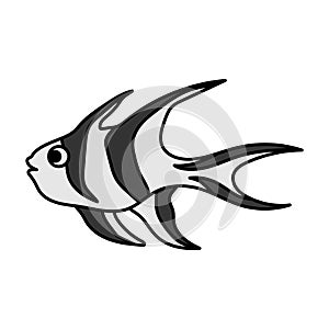 banggai cardinalfish icon design template vector illustration
