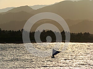 Bangkas, a traditional type of outrigger boats used by Filipino artisanal fishermen