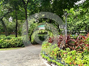 Bangkok - Santiphap Park Peace Park