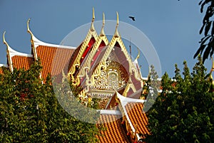 Bangkok, Thailand: Benchamabophit Temple