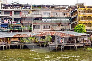 Wooden slums on stilts on the riverside of Chao Praya River in Bangkok