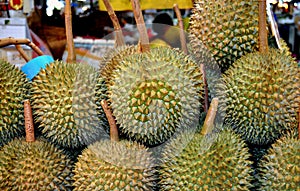 Bangkok, Thailand: Durian Fruits at Market