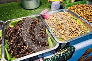 Fried Insects (crickets, locusts, Worms Molitors and Silkworm Pupa) on a vendor stall, street food of Thailand