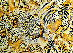 BANGKOK, THAILAND, 28 March 2016, Tiger and leopard and wild Animal pattern. skin background