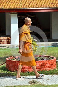 Bangkok, Thailand: Monk at Wat Mahathat