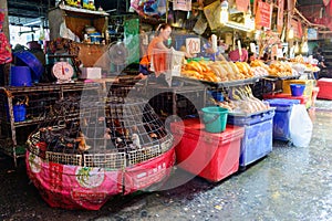 Bangkok, Thailand - October 29, 2019 : Chickens in the cage on sale at Khlong Toei Market