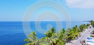 Top view of road with car and people beside the beautiful sea, coconut or palm tree with clear blue sky