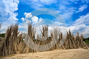 A sunny day, Blue white green and brown color layer in beautiful bangladesh jute drying scene at photo