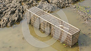 Bangladeshi Fish catching instrument. Fish Trapping in bamboo cage on the village lake.