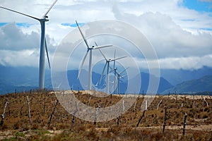 Bangui Wind Farm windmills in Ilocos Norte, Philippines photo