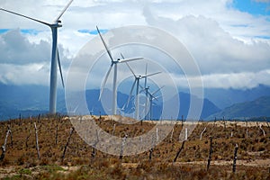 Bangui Wind Farm windmills in Ilocos Norte, Philippines