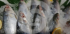 Bangus milk fish laying on a fresh ice at a wet market. It is a common tasty and national fish