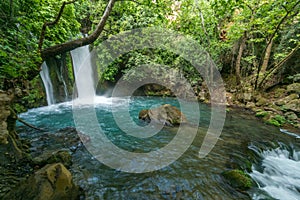 The Banias Banyas waterfall photo