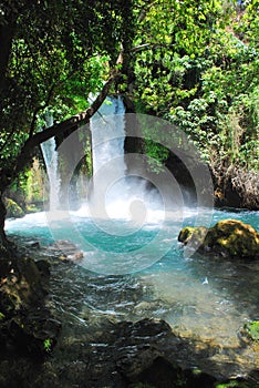 Banias falls photo