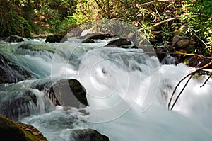 Banias Waterfall photo