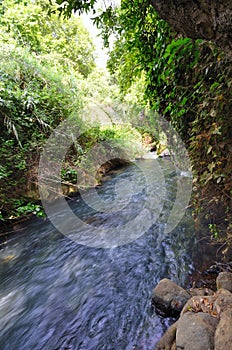 Banias Waterfall photo