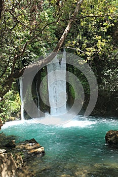 Banias Waterfalls in the Upper Golan, Israel photo