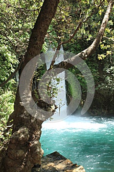 Banias Waterfalls in the Woods, Israel photo