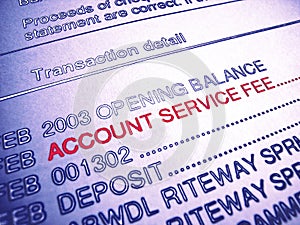 Bank Account Service Fee Statement