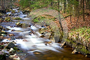 Bank along a flowing stream with stones and boulders