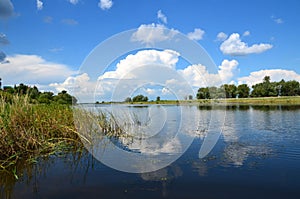 The bank of the Berezovka River is a tributary of the Volga. In summer, green trees and clouds are reflected in the