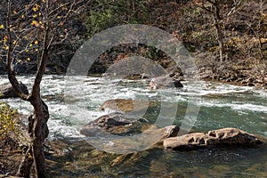 On the Bank of the Creek