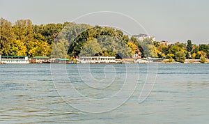 The bank of the Danube near Novi Sad