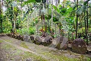 A bank of giant prehistoric megalithic stone money Rai. Disks of coins standing in a row, hidden overgrown in jungle. Yap island. photo