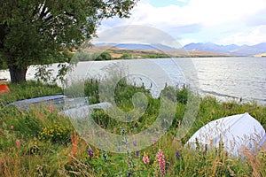 Bank of lake alexandrina on a beautiful morning