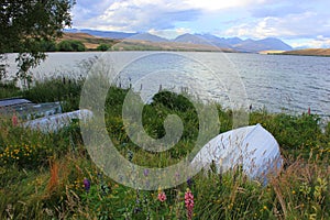 Bank of lake alexandrina in canterbury, new zealand