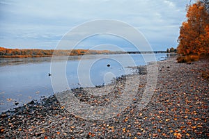 The Bank of a large quiet river in cloudy autumn weather