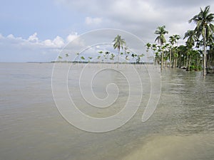 Bank of The Meghna River