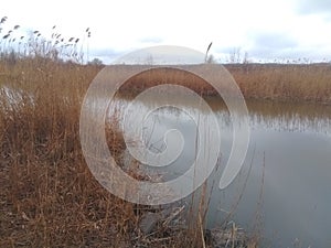 The bank of the Mius river in the village of Pokrovskoye photo