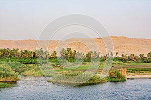 Bank of Nile river seen during touristic cruise, Egypt